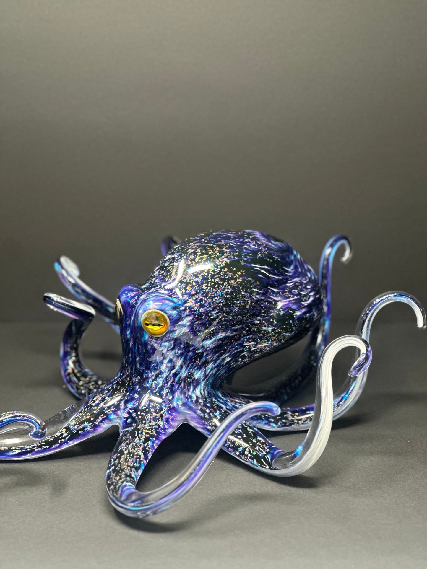 Twilight Octopus