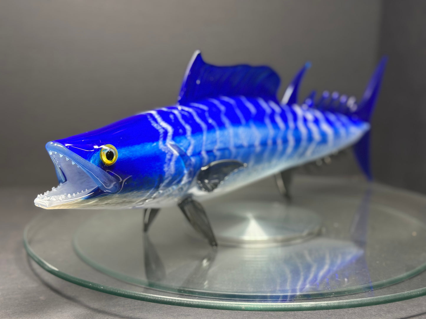 Wahoo
