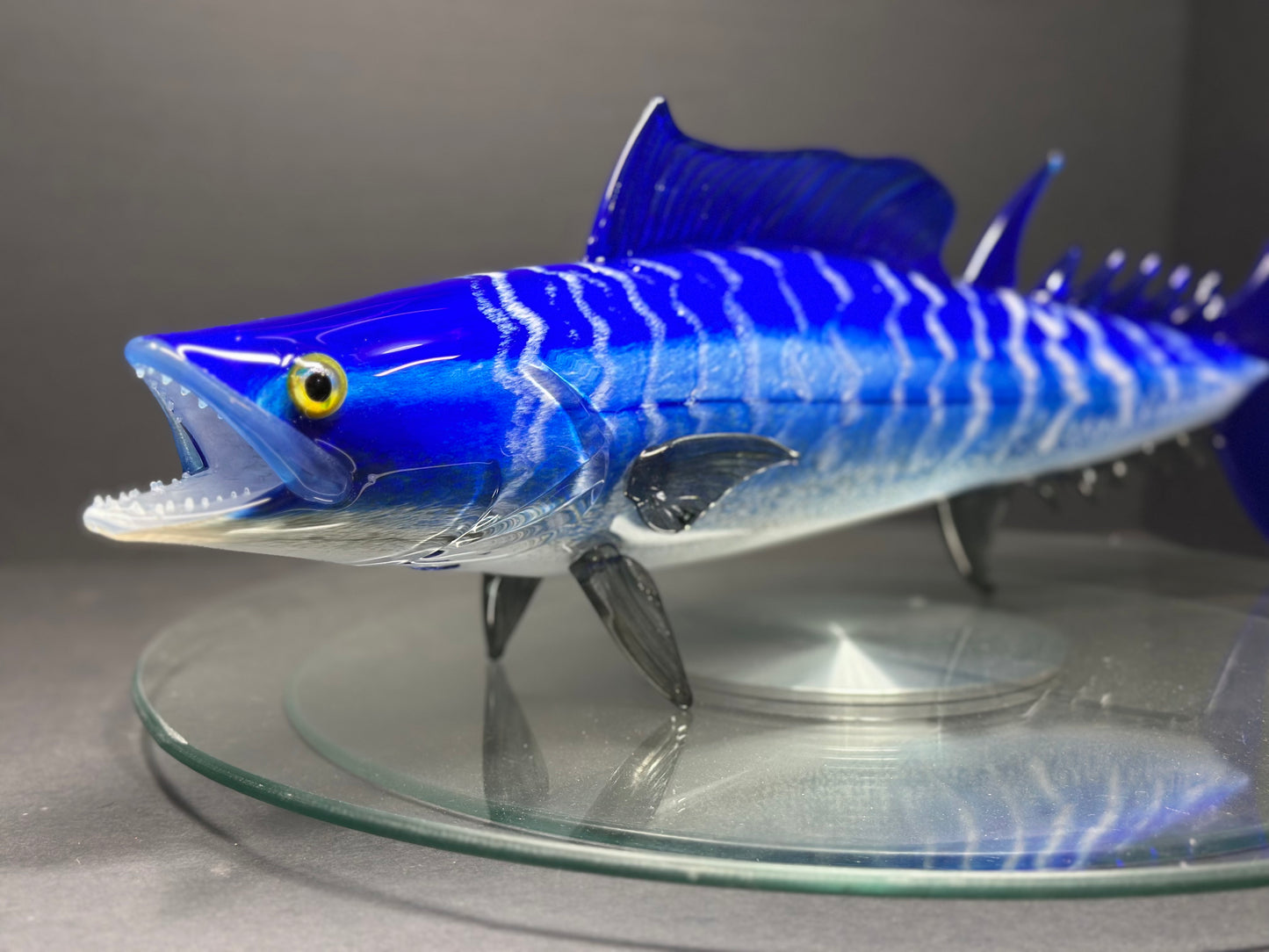 Wahoo