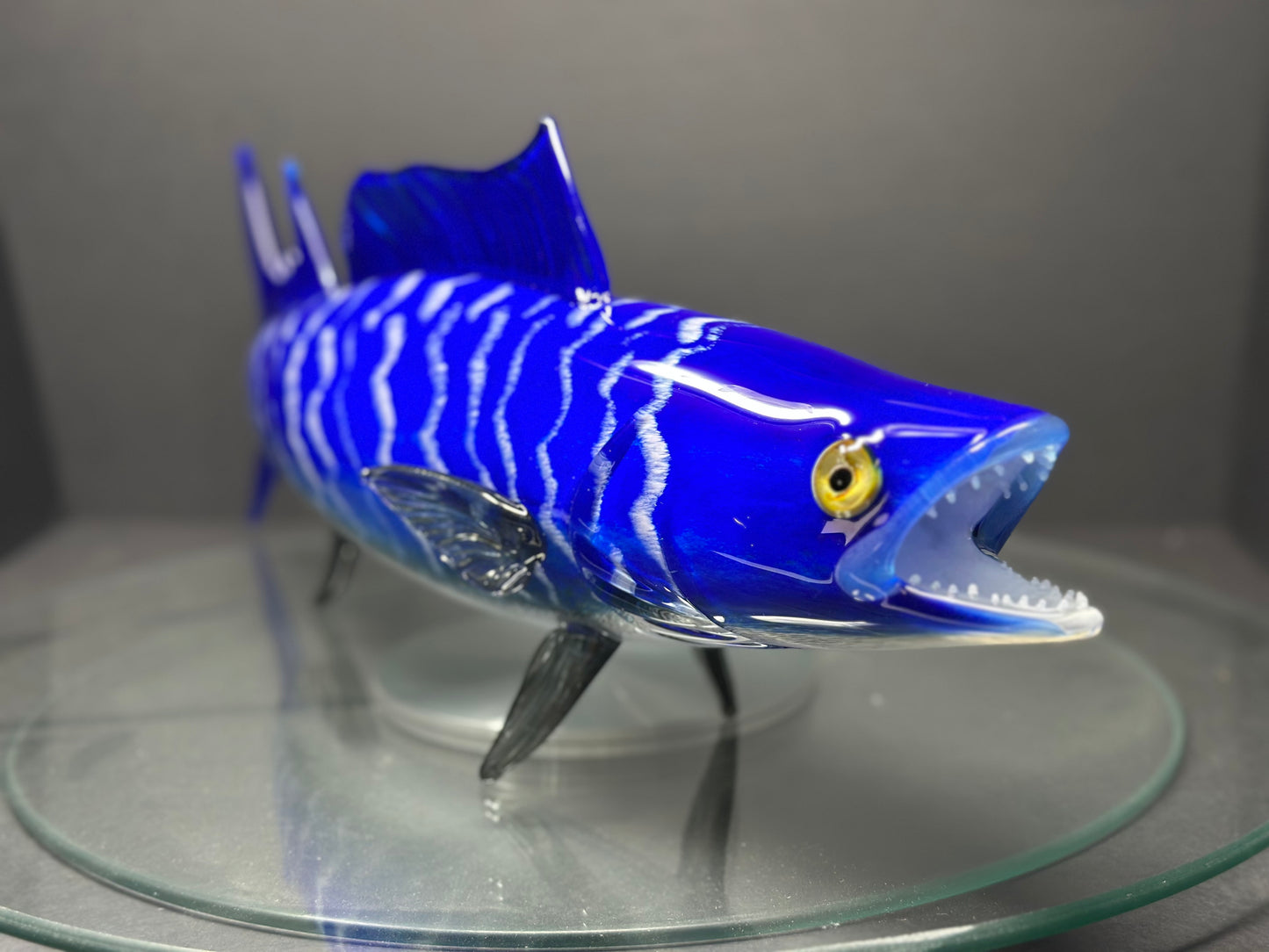 Wahoo