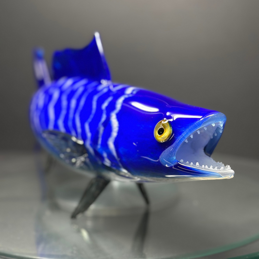Wahoo