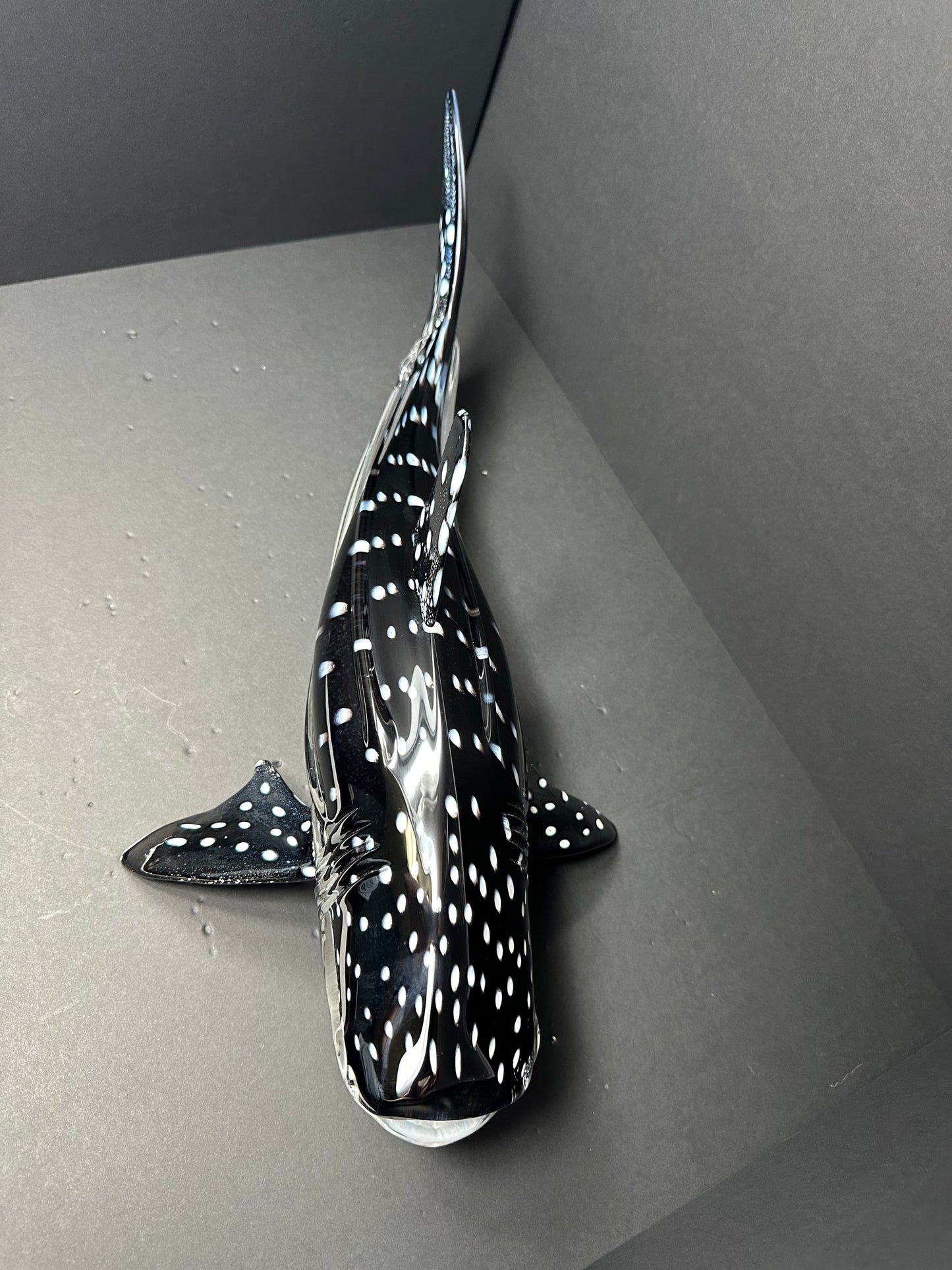 Whale Shark