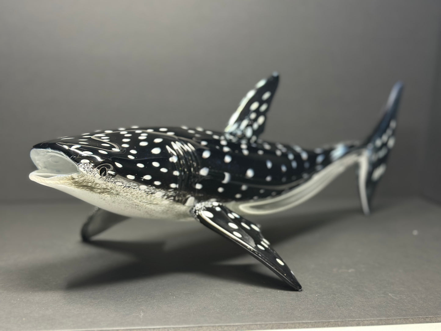 Whale Shark