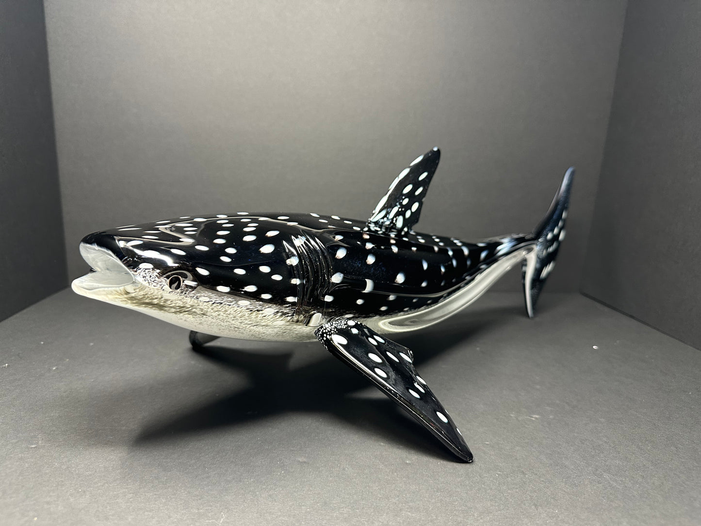 Whale Shark