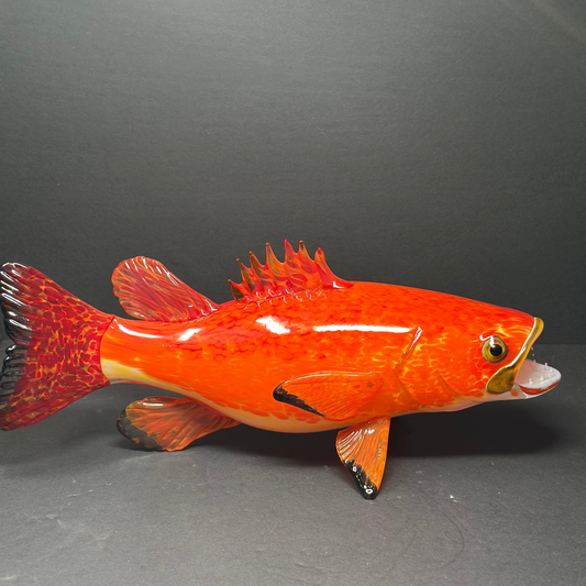Yellow Eyed Rock Bass