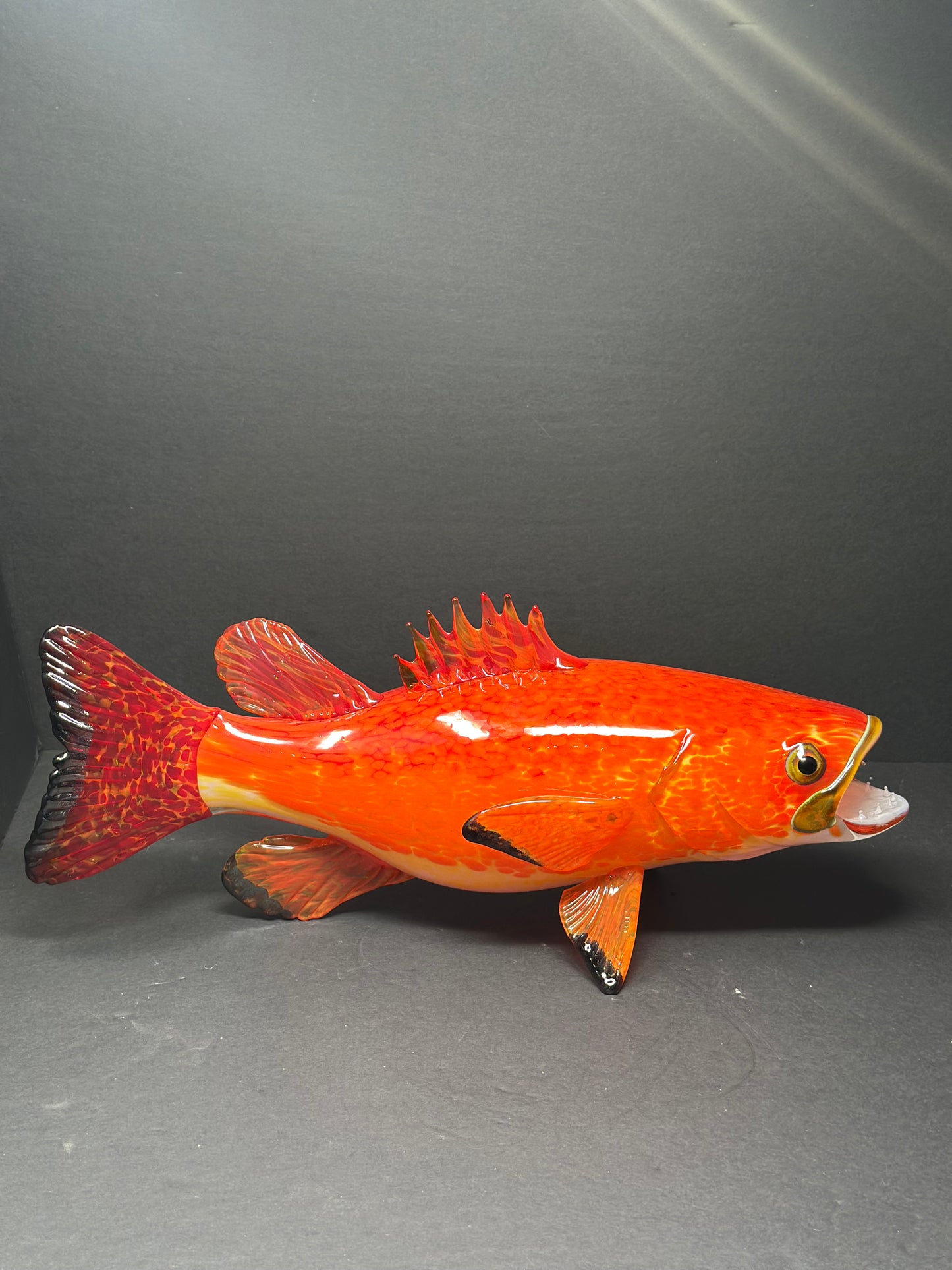 Yellow Eyed Rock Bass