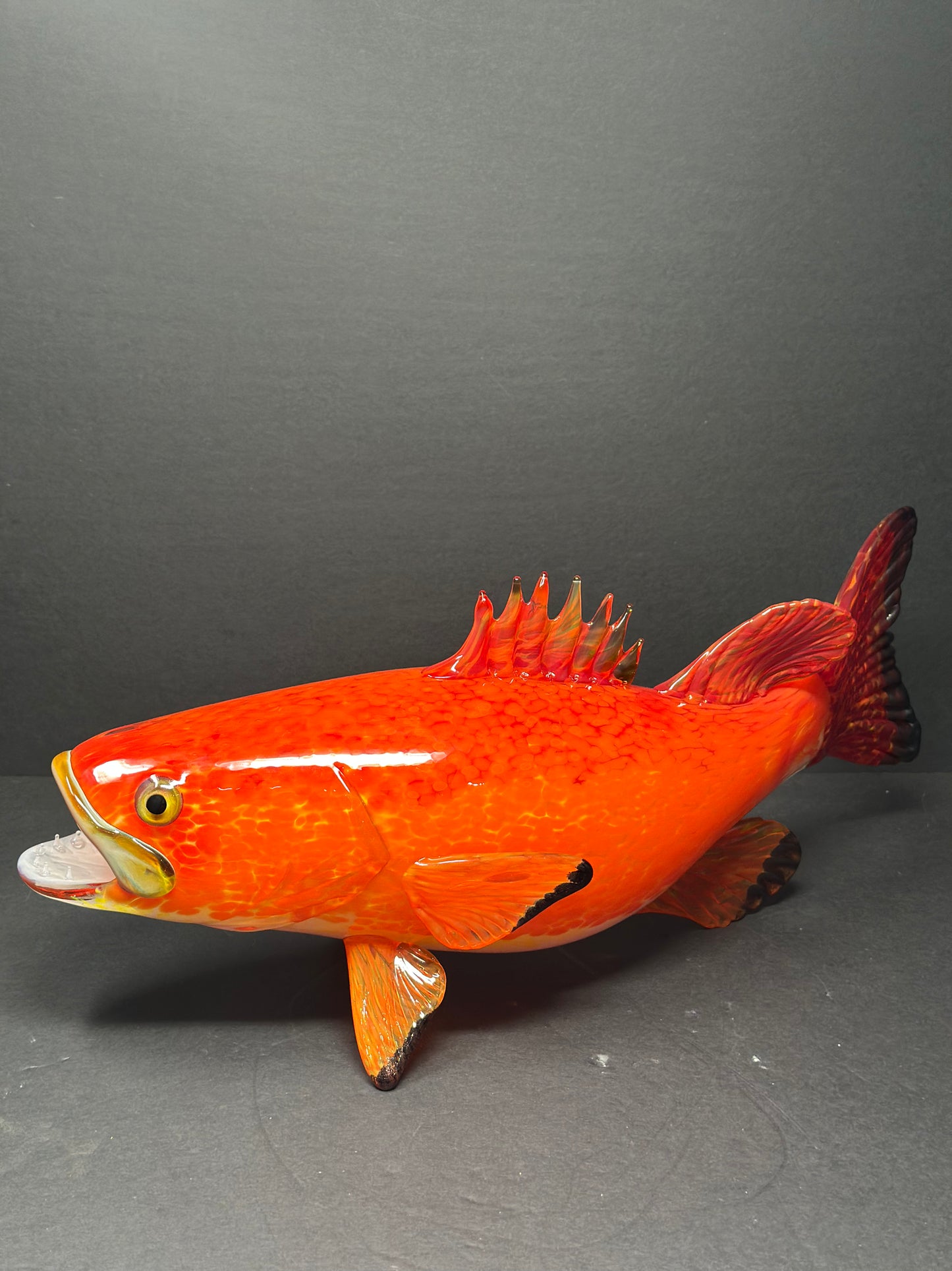Yellow Eyed Rock Bass
