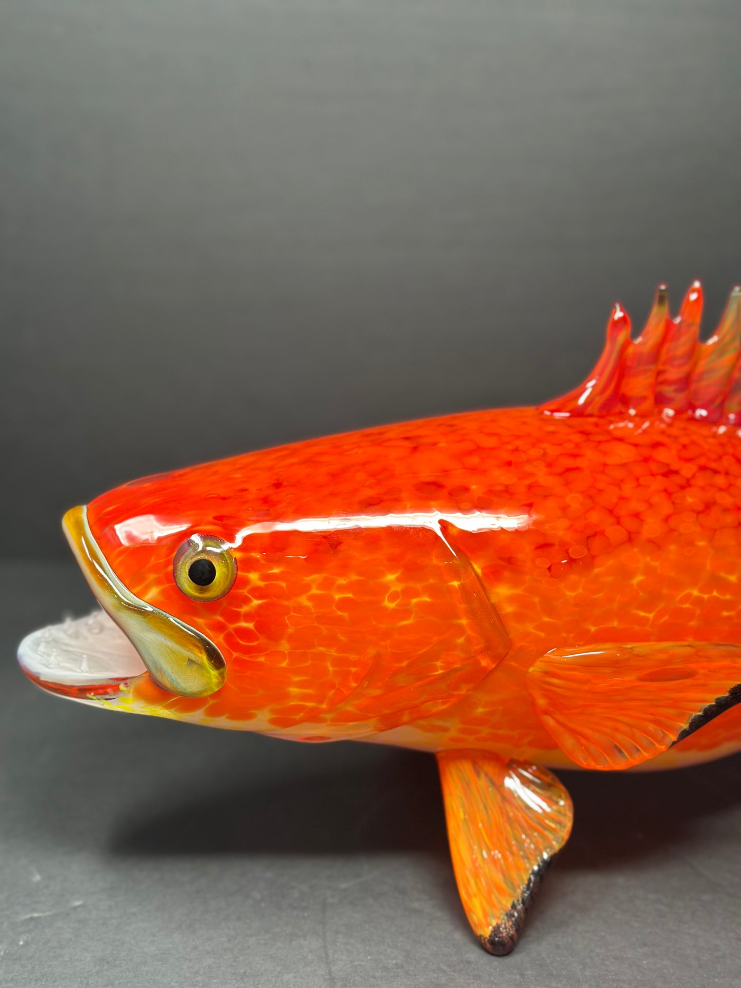 Yellow Eyed Rock Bass