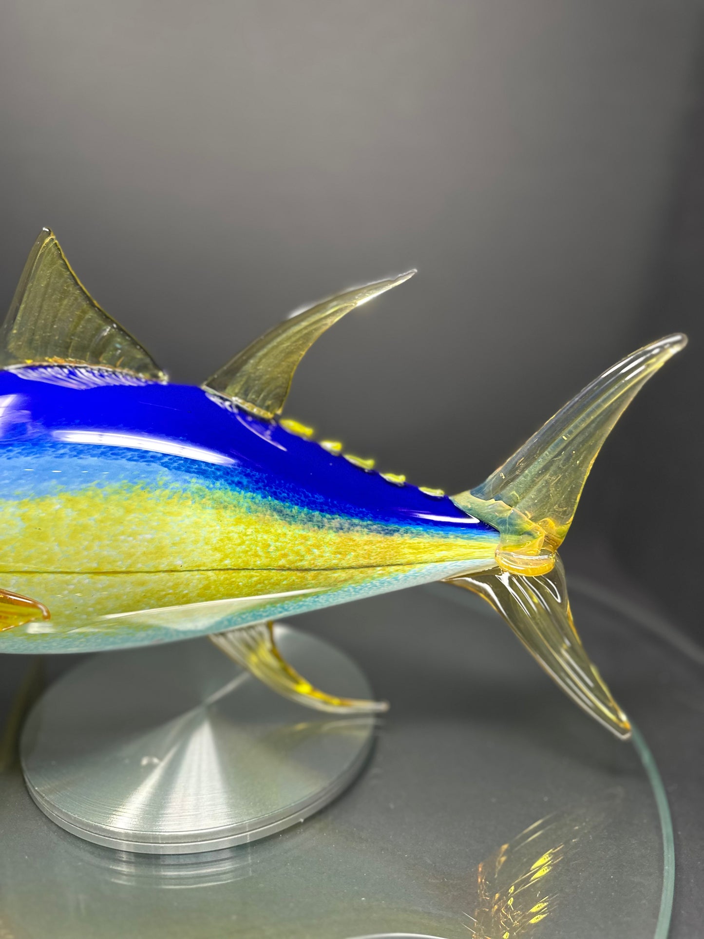 Yellowfin Tuna