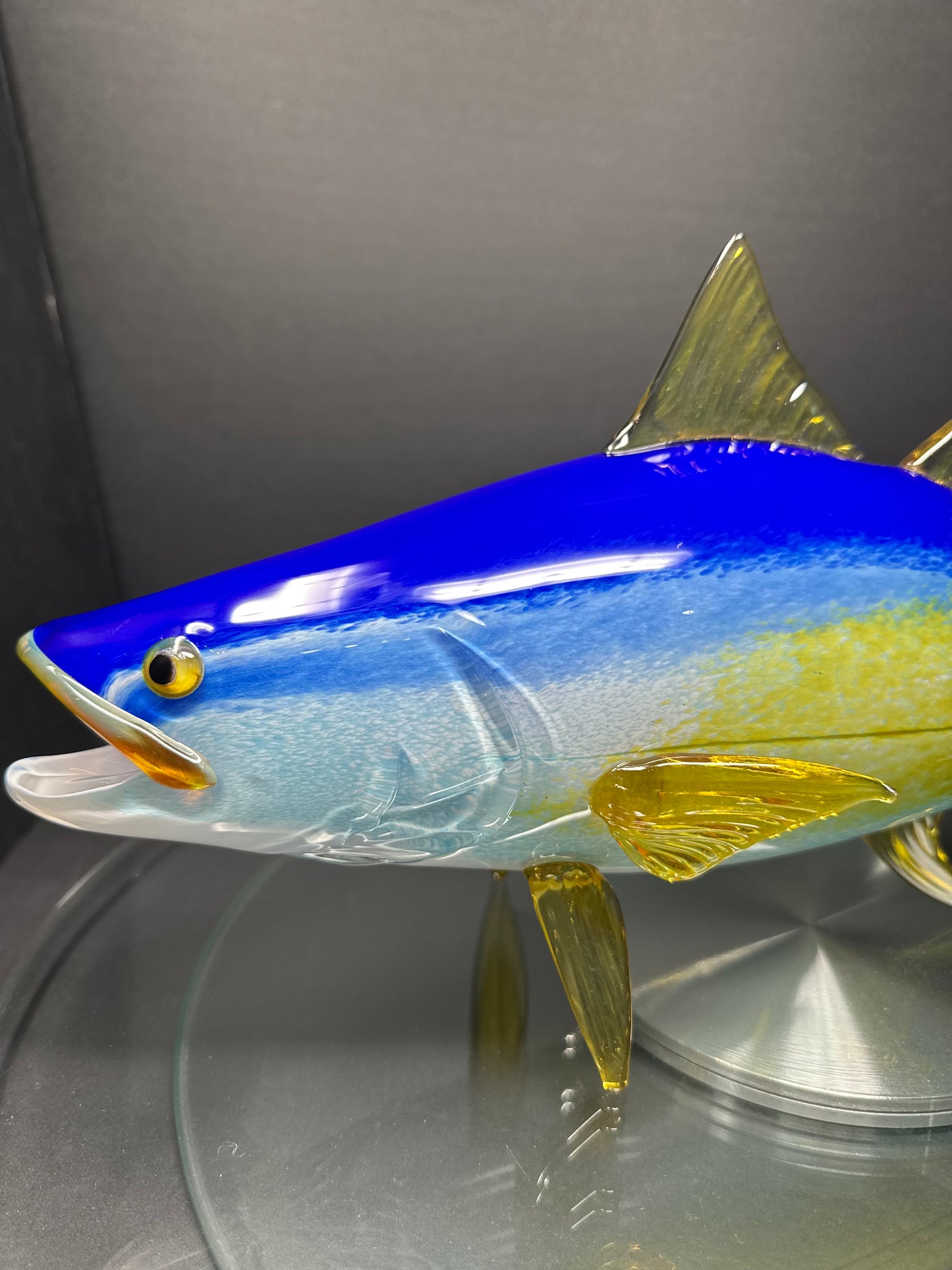Yellowfin Tuna